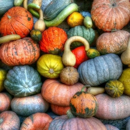 došlo vreme na ludaje