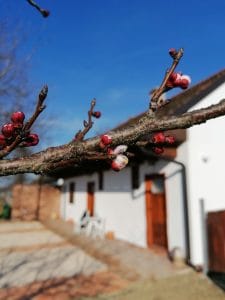 IMG_20210313_152805
