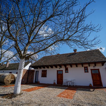 Salaš Isailovi u sremskoj ravnici — pogled na dvorište sa orahom