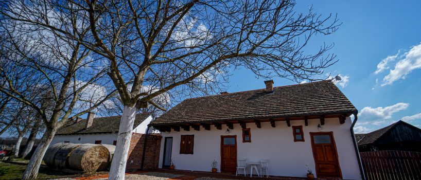 Salaš Isailovi u sremskoj ravnici — pogled na dvorište sa orahom